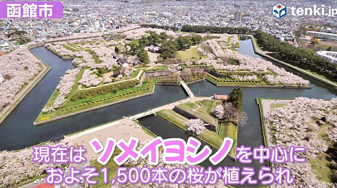 函館市　五稜郭公園