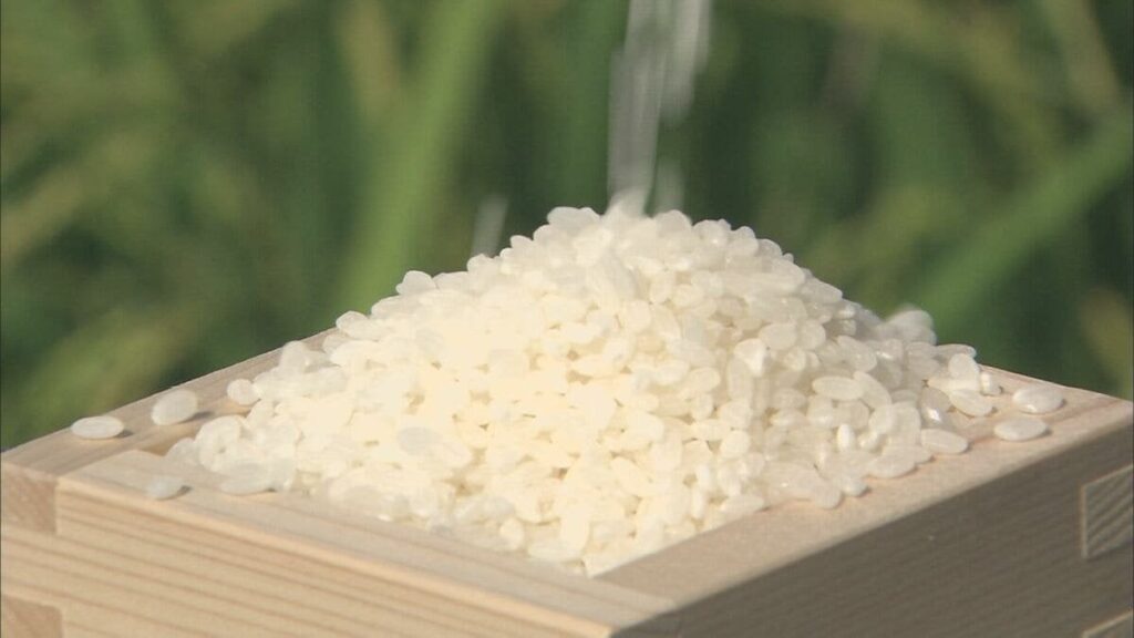コメの平均価格5キロ4220円　16週連続の値上がり　値上がり幅は縮小傾向も備蓄米放出後でも価格下がらず