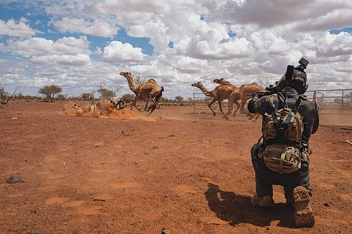 オーストラリア西部で牧場を経営するジャック・カーモディーが、牛の給水設備から水を飲もうとしていたラクダを発見し、ライフルで撃つ。彼は、こうした場面を撮影して自分のユーチューブ・チャンネルに投稿し、牧場の日常を伝えている。（PHOTOGRAPH BY MATTHEW ABBOTT）