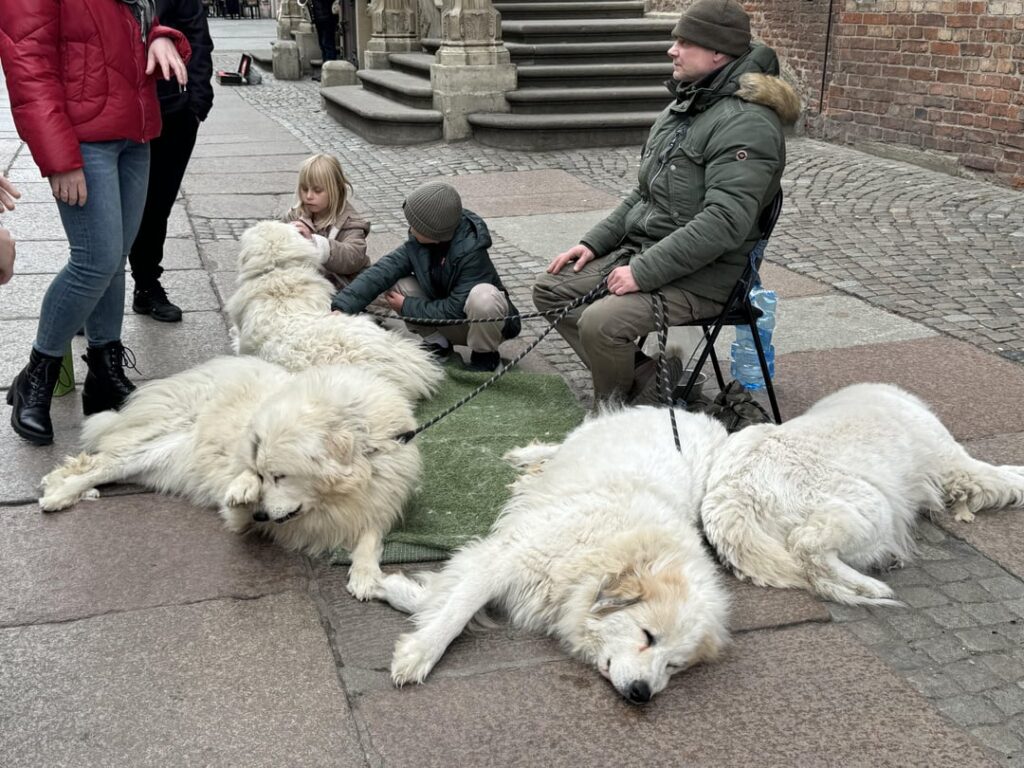 私はポーランドが大好きです、ここで私がそこで私の旅行で撮った写真をいくつか紹介します。