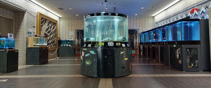 エントランスホールにある上部に三陸の魚と記された円錐の水槽を中心に左右に四角の水槽が並んでいる様子が前方から撮影されている写真