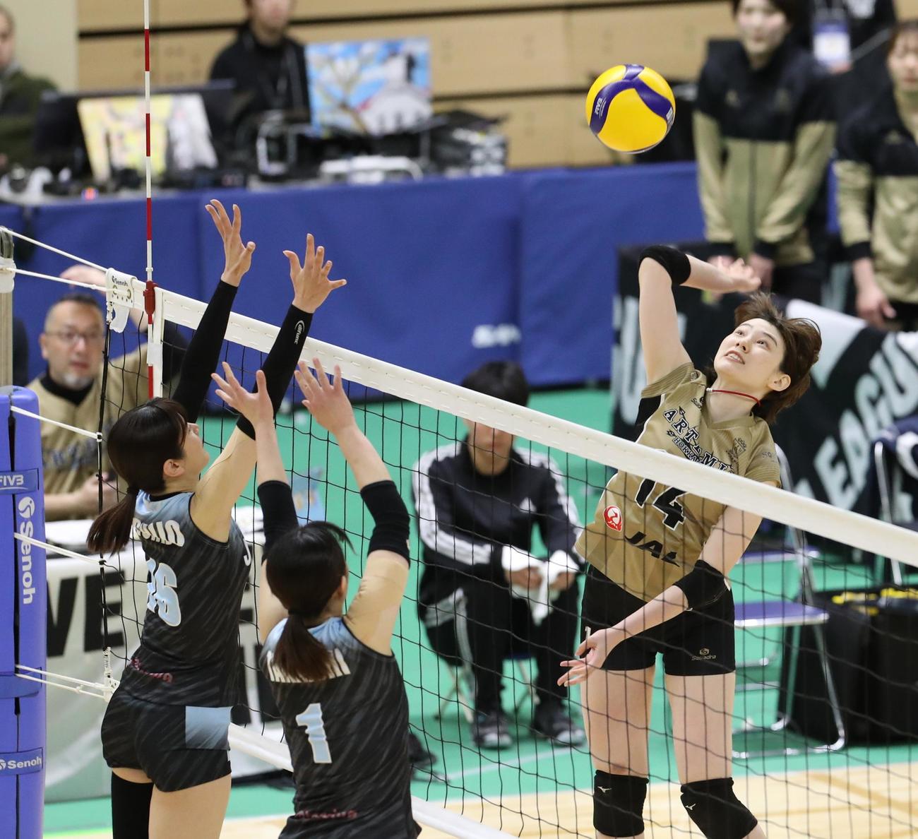 高い打点でアタックする山田菜那光＝2025年3月23日