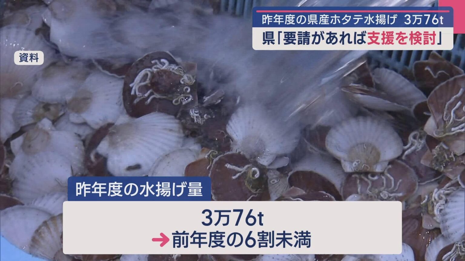 2024年度のホタテ水揚げ平成以降で最少 3万76t 青森県「要請があれば支援を検討」（ABA青森朝日放送） - Yahoo!ニュース - Yahoo!ニュース
