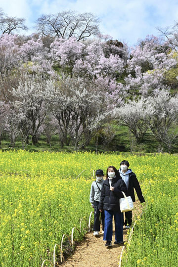 「ふくしまプレDC」きょう開幕 県内各地で280超の特別企画:福島ニュース - 福島民友新聞社