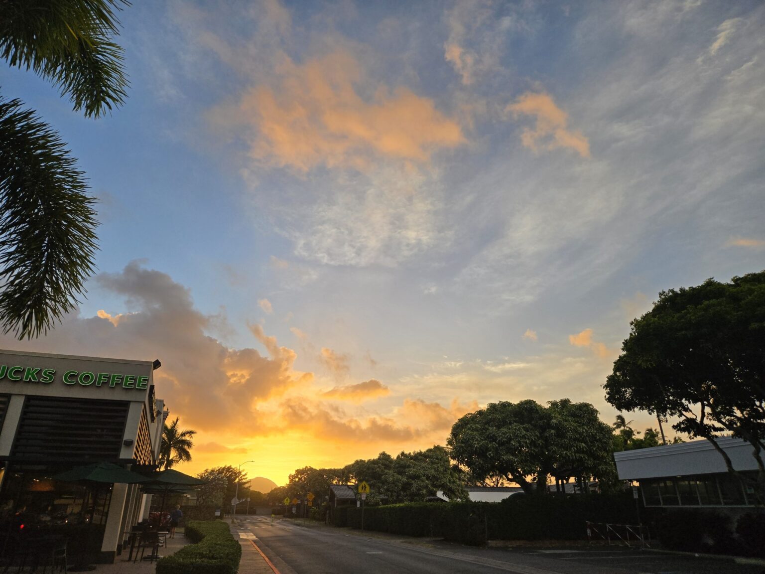 エイプリル・フールで終わらせない！健康生活はじめます！！｜EXPAT by クーリエ・ジャポン