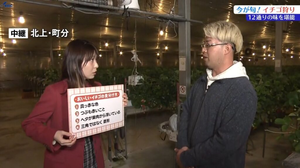 【中継】12通りのイチゴの味が楽しめる! 岩手県北上市の農園で旬のイチゴ狩り（IBC岩手放送） - Yahoo!ニュース - Yahoo!ニュース