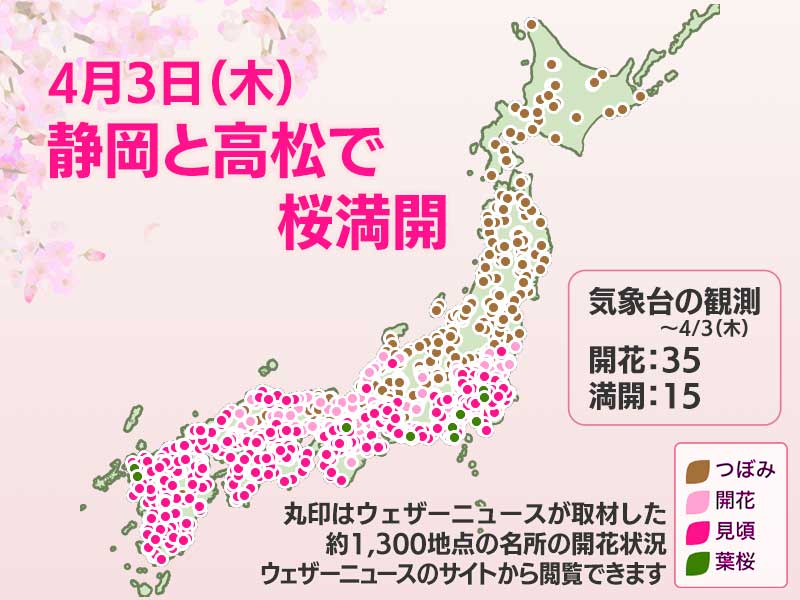 今日の桜開花状況 4月3日(水)　静岡と高松で桜満開　新たな開花は発表はなし - ウェザーニュース