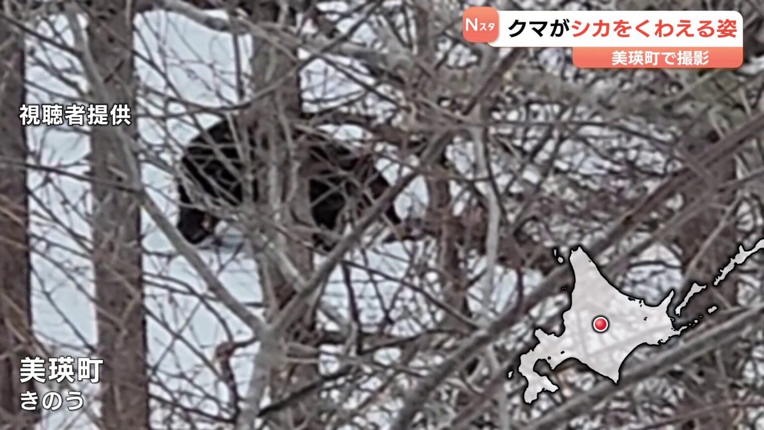 ヒグマがシカをくわえて…観光客が撮影「こんなに近くてびっくり」北海道の観光地「青い池」近くで（HBCニュース北海道） - Yahoo!ニュース - Yahoo!ニュース