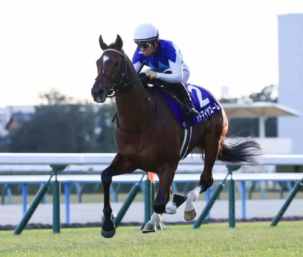 【ニュージーランドT　展望】G1馬アドマイヤズームが不動の中心― スポニチ Sponichi Annex ギャンブル