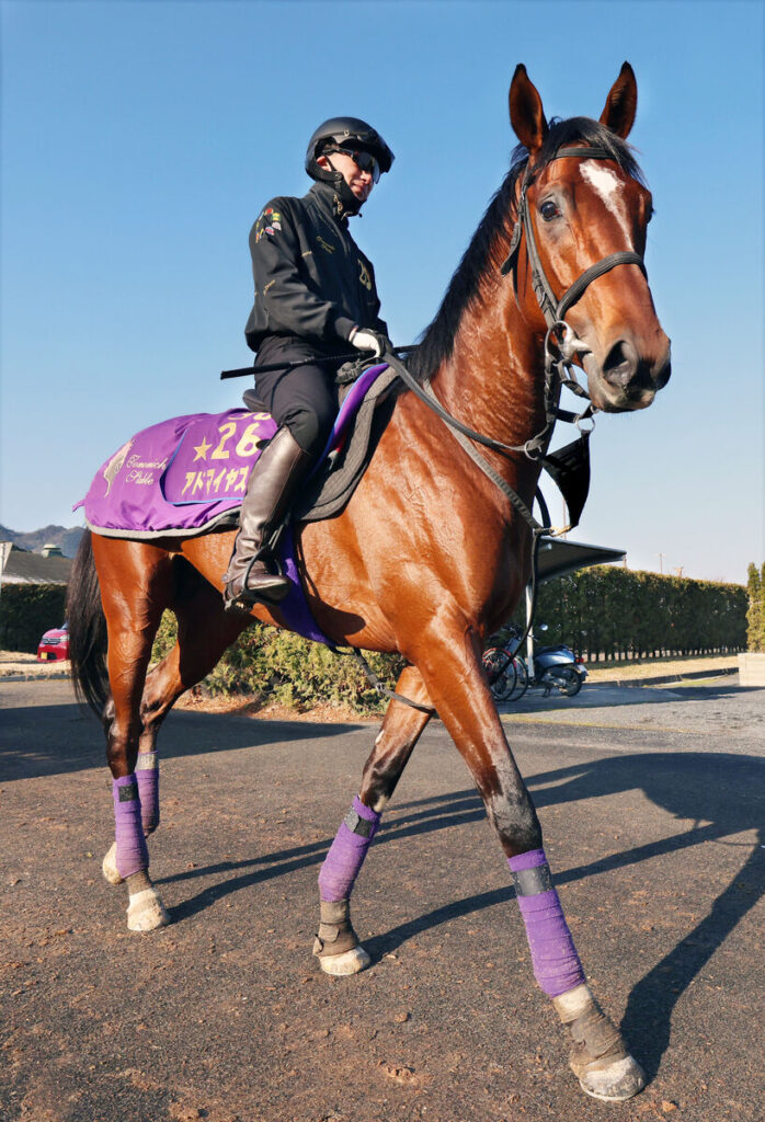 今年初戦を迎えるアドマイヤズーム