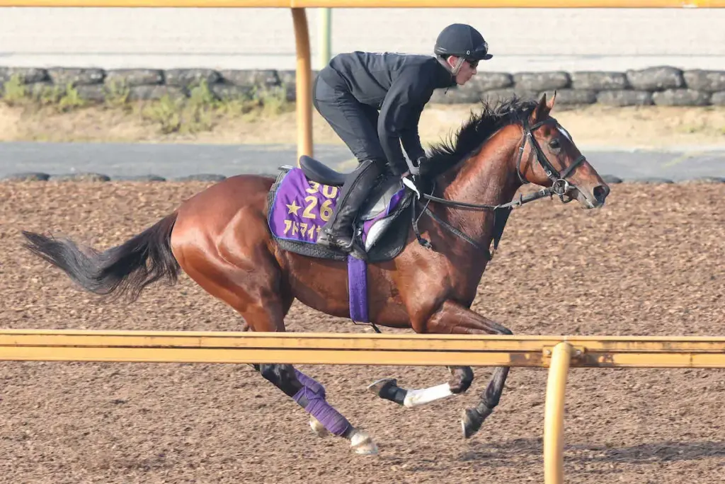 【ニュージーランドT】アドマイヤズーム　今年初戦へ友道師期待「ひと回り大きくなった」― スポニチ Sponichi Annex ギャンブル