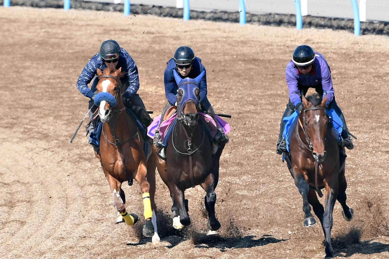 【ニュージーランドＴ・調教採点】上位人気確実プリティディーヴァの懸念点 栗東坂路にはとっておきの惑星が出現！？ - Yahoo!ニュース