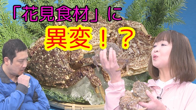 青森県民熱愛の“お花見に欠かせない食材”に異変！？「 こんなに少ないのは初めてです…」おなじみの光景が変わるかも（青森放送） - Yahoo!ニュース - Yahoo!ニュース