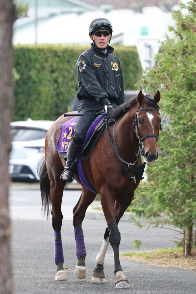 追い切りを終え、厩舎へ引き揚げるアドマイヤズーム（カメラ・高橋　由二）