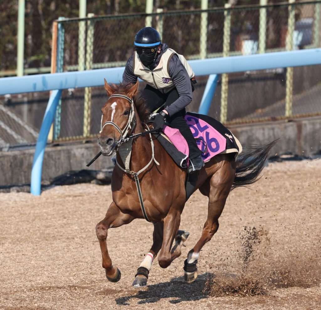 土曜中山競馬場の注目激走馬…中山１１Ｒニュージーランドトロフィー・Ｇ２（馬トク報知） - Yahoo!ニュース