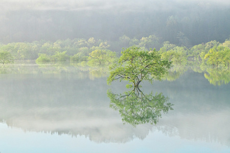 【山形県 ～春の絶景・風物詩10選～】春だけ出現する、“水没林”の短命な美しさは必見／2025年版（CREA WEB） - Yahoo!ニュース - Yahoo!ニュース
