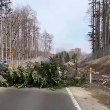 北海道各地で強風被害…札幌市では“最大瞬間風速24.9メートル”の強風でビルの一部が崩落_北広島市では倒木_石狩市などで飛来物が電線に接触し約1690戸が一時停電（北海道ニュースUHB） - Yahoo!ニュース - Yahoo!ニュース