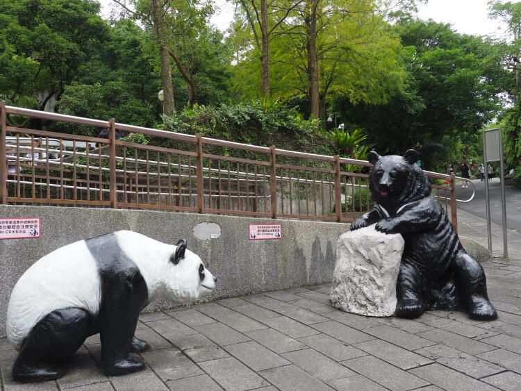 台湾のパンダはなぜ中国に返還されない？ 微妙な政治的関係を反映か（GLOBE＋） - Yahoo!ニュース - Yahoo!ニュース