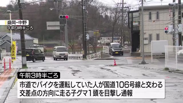 盛岡市の住宅地で子グマ目撃 被害の情報なしもスーパーや小学校が近くに 警察が注意呼びかけ（テレビ岩手ニュース） - Yahoo!ニュース - Yahoo!ニュース