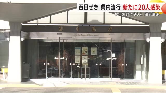 百日ぜき 岩手県内で流行　新たに20人感染確認　2025年累計で90人過去最多　（岩手めんこいテレビ） - Yahoo!ニュース