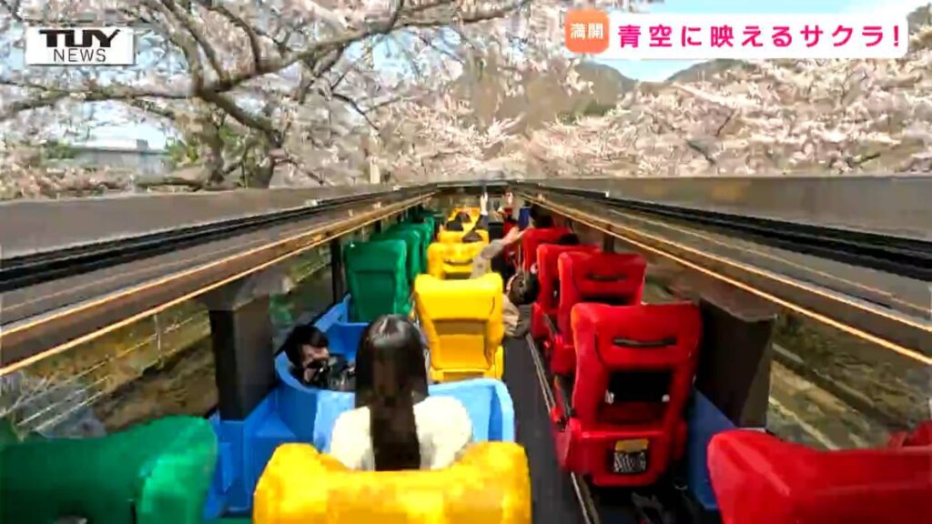 来年春に導入予定!屋根のないバスで桜のトンネルを駆け抜ける!（山形）（テレビユー山形） - Yahoo!ニュース - Yahoo!ニュース
