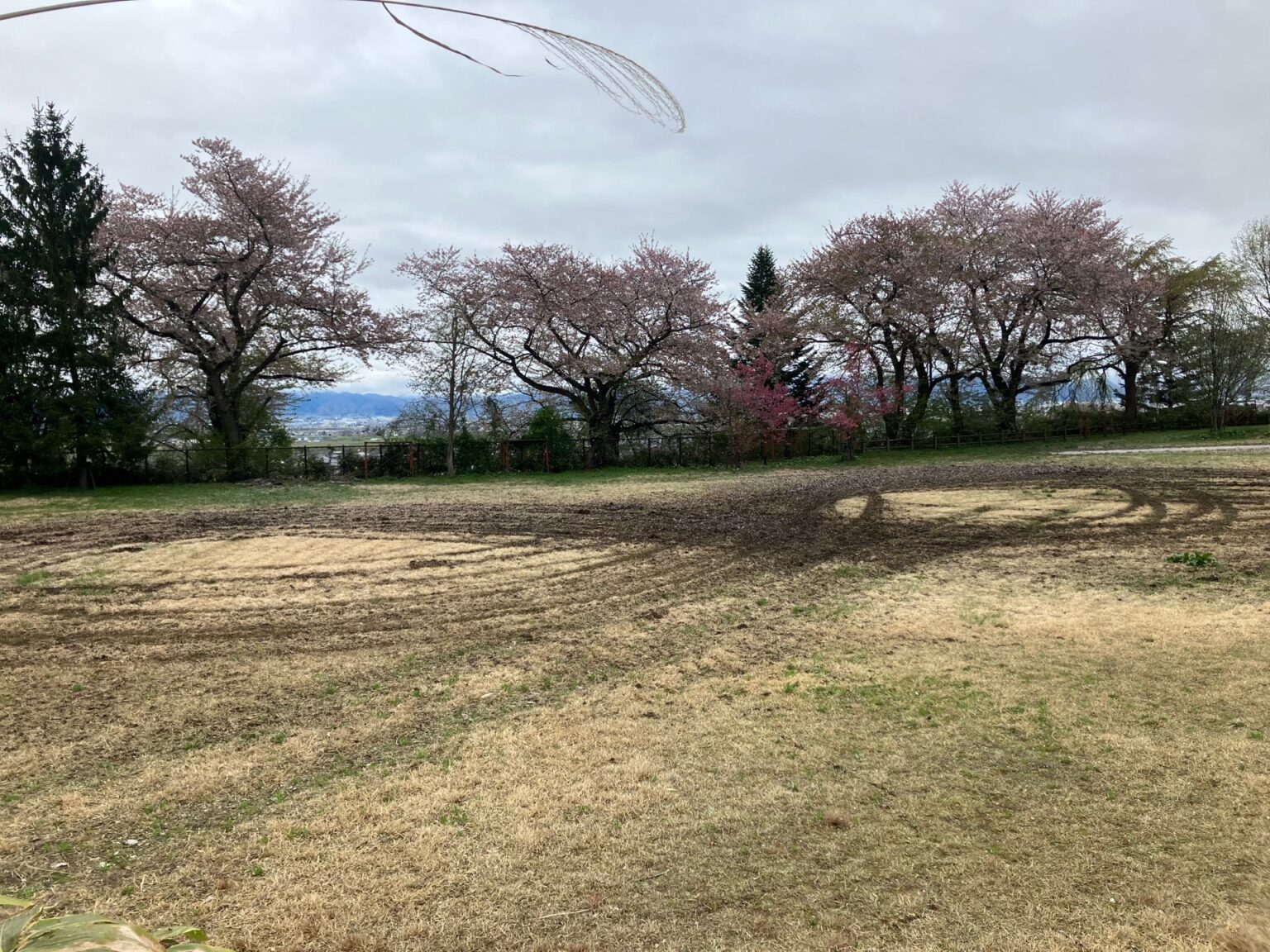 車止めを避けるようにして強引に侵入か 公園内でドリフト? そこには深いタイヤ痕が... 警察に被害届けを提出（山形・山辺町） （テレビユー山形） - Yahoo!ニュース - Yahoo!ニュース