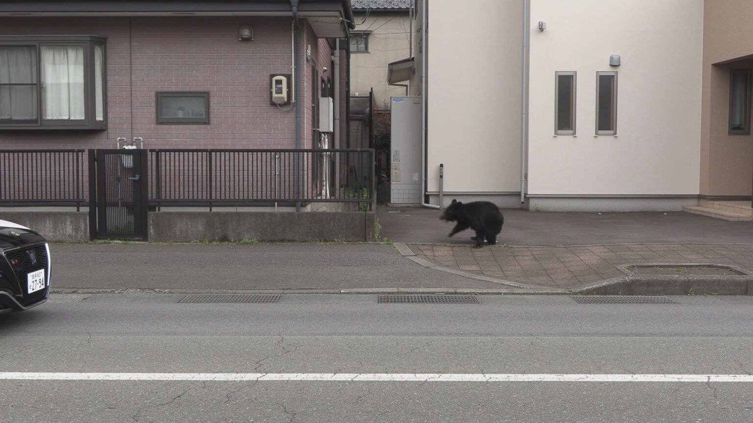 住宅街にクマ迷い込む 警察官に近寄るなど、現場は一時緊張感に包まれる 岩手・釜石市（IBC岩手放送） - Yahoo!ニュース - Yahoo!ニュース