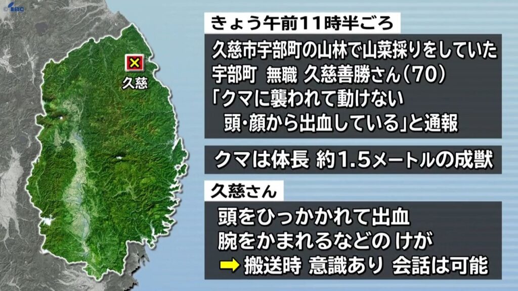 「クマに襲われて動けない。 頭、顔から出血している」岩手県久慈市の山林でクマに襲われ70代男性けが 熊の人身被害は今年度2回目（IBC岩手放送） - Yahoo!ニュース - Yahoo!ニュース