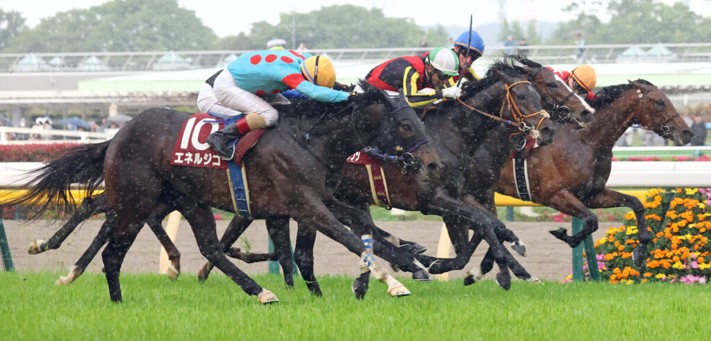 【青葉賞】エネルジコがデビュー３連勝で重賞初制覇 ダービー切符ゲット 無敗Ｖは２０１０年ペルーサ以来（馬トク報知） - Yahoo!ニュース
