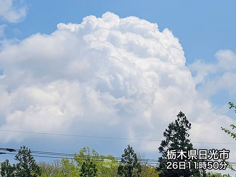 ウェザーニュース