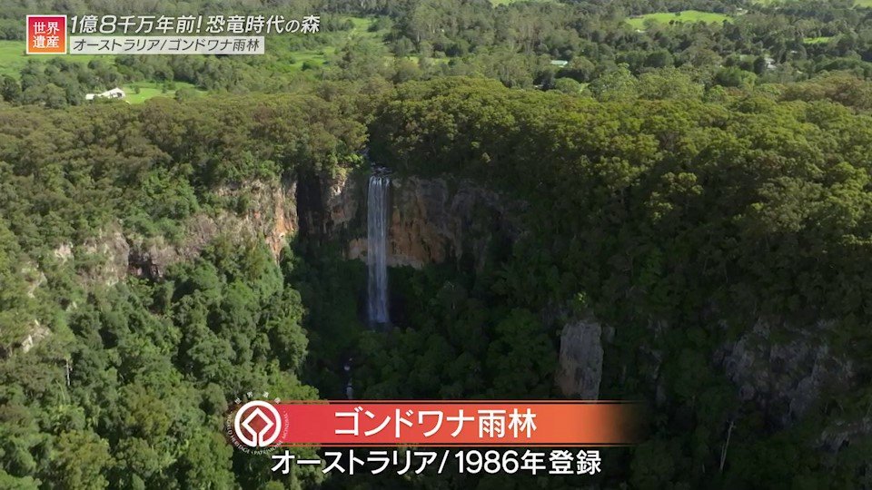 オーストラリアの世界遺産「太古の森・ゴンドワナ雨林」貴重な固有種の撮影に成功!（TBS NEWS DIG Powered by JNN）
