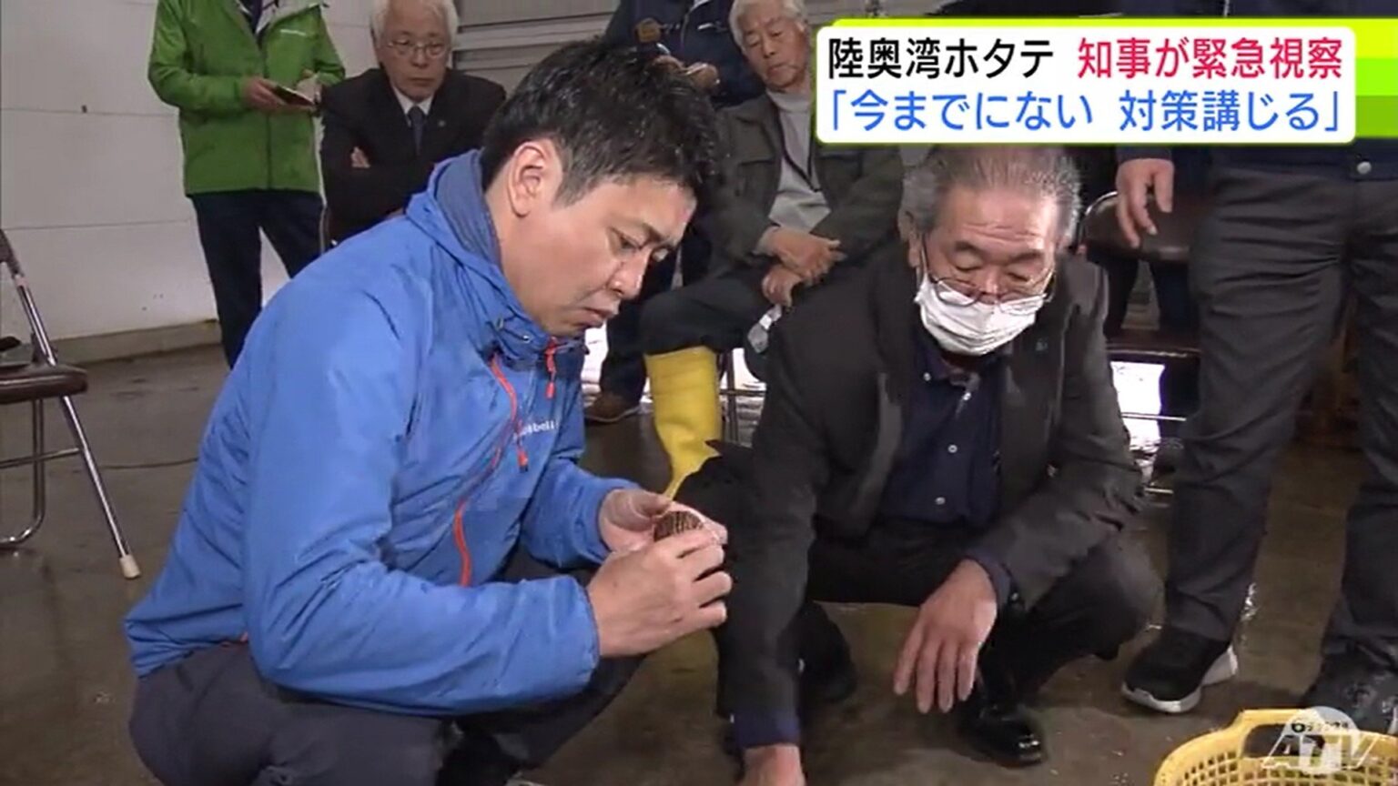 「今までにない対策を講じていかなければならない」今年度の水揚げが激減の見込みの『陸奥湾産ホタテ』青森県・宮下宗一郎知事が緊急視察（ＡＴＶ青森テレビ） - Yahoo!ニュース - Yahoo!ニュース
