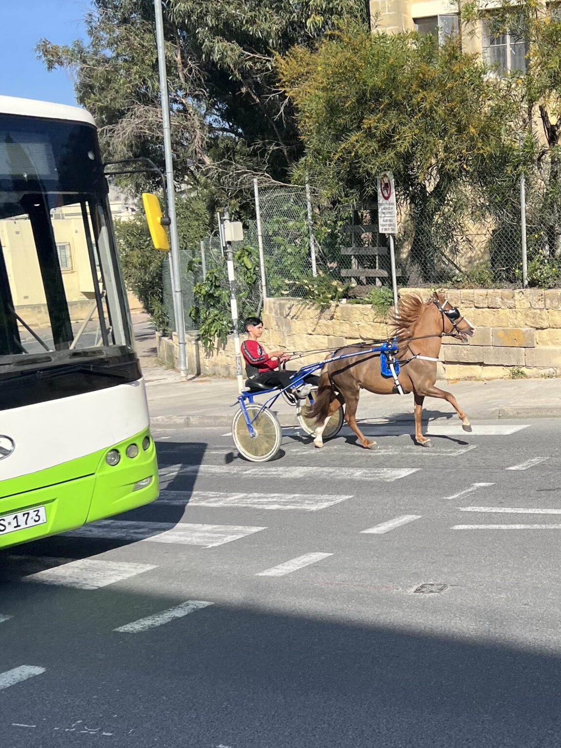 今日はバスの前でミニカロジンを運転している子供を見て、楽しく見えます