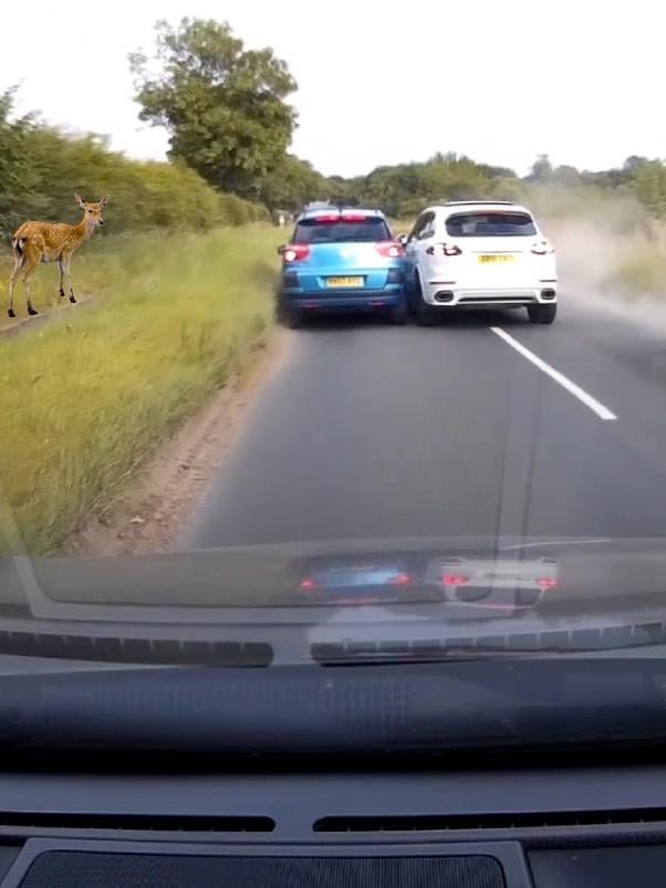 POV：素敵な晴れた日に、私と私の前の運転手の両方が死を逃れます。