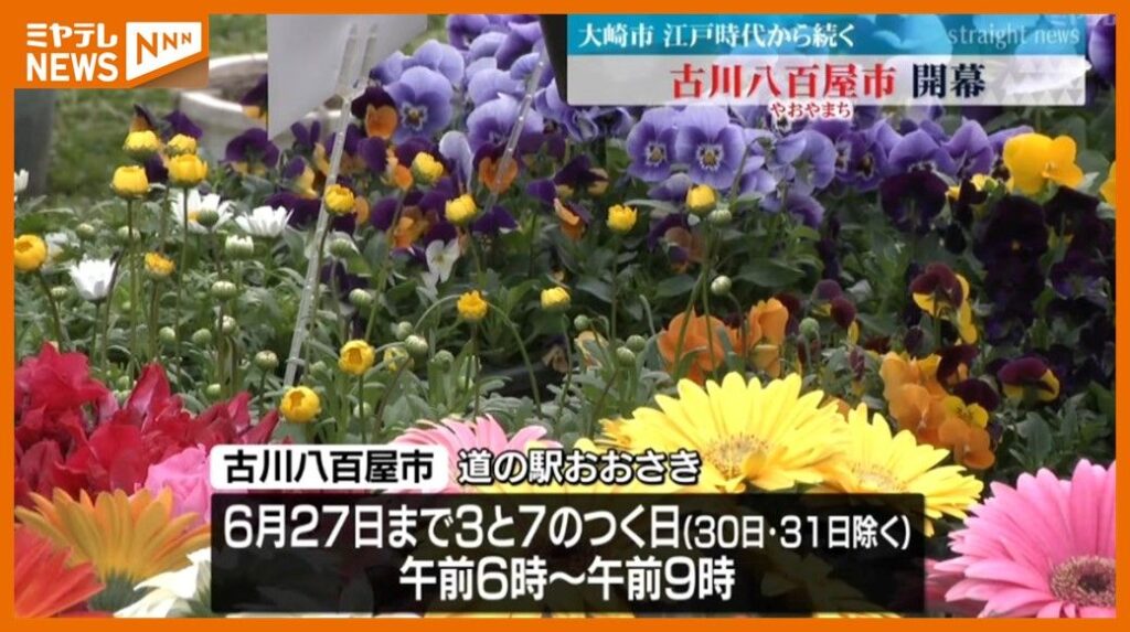 共有