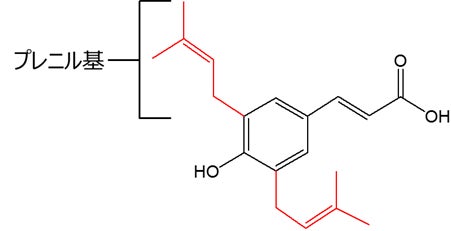 ブラジル産グリーンプロポリスの特長成分 アルテピリンC 脳への分布を確認、今後の有用性研究に期待 - 岡山経済新聞
