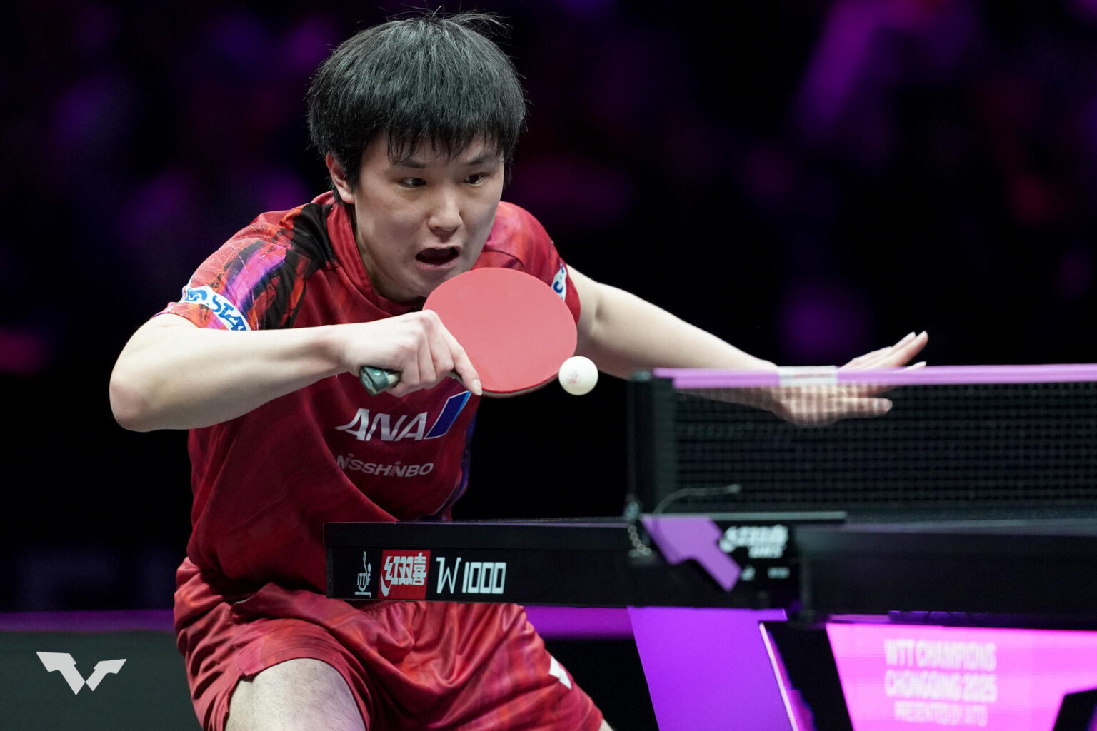 張本智和 トヨタ入社後の初陣飾る!スペインのエース左腕を破って初戦突破【卓球 WTT仁川】|テレ東卓球NEWS:テレ東 張本智和 トヨタ入社後の初陣飾る!スペインのエース左腕を破って初戦突破【卓球 WTT仁川】|テレ東卓球NEWS:テレ東