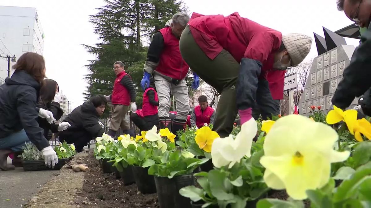 【春の装い】岩手公園脇の花壇に花苗植栽　盛岡市