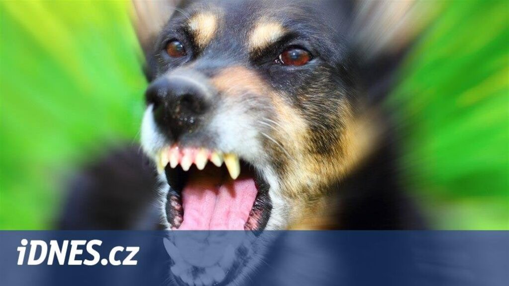 裁判所によると、攻撃的な犬に対する自己防衛は、子供をレイプする数年と同じくらい深刻な犯罪です。