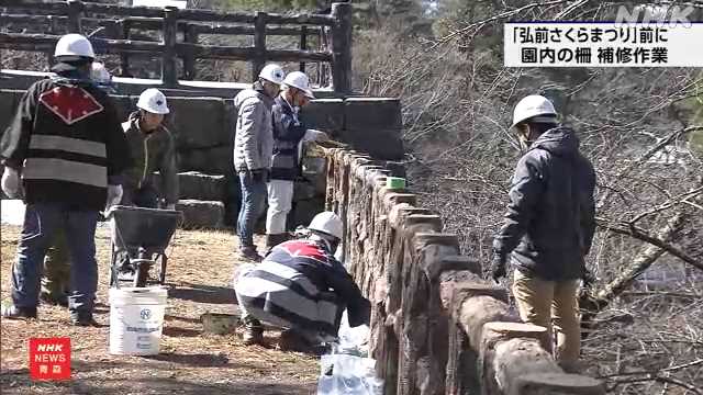 青森 「弘前さくらまつり」を前に 公園内の柵の補修作業|NHK 青森県のニュース 青森 「弘前さくらまつり」を前に 公園内の柵の補修作業|NHK 青森県のニュース
