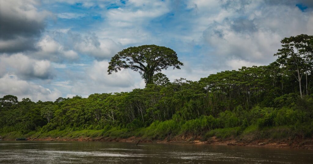 ペルーに暮らす「非接触部族」の珍しい動画が撮影される。背景には伐採業者の存在「逃れるように熱帯雨林から姿現す」 | ハフポスト NEWS