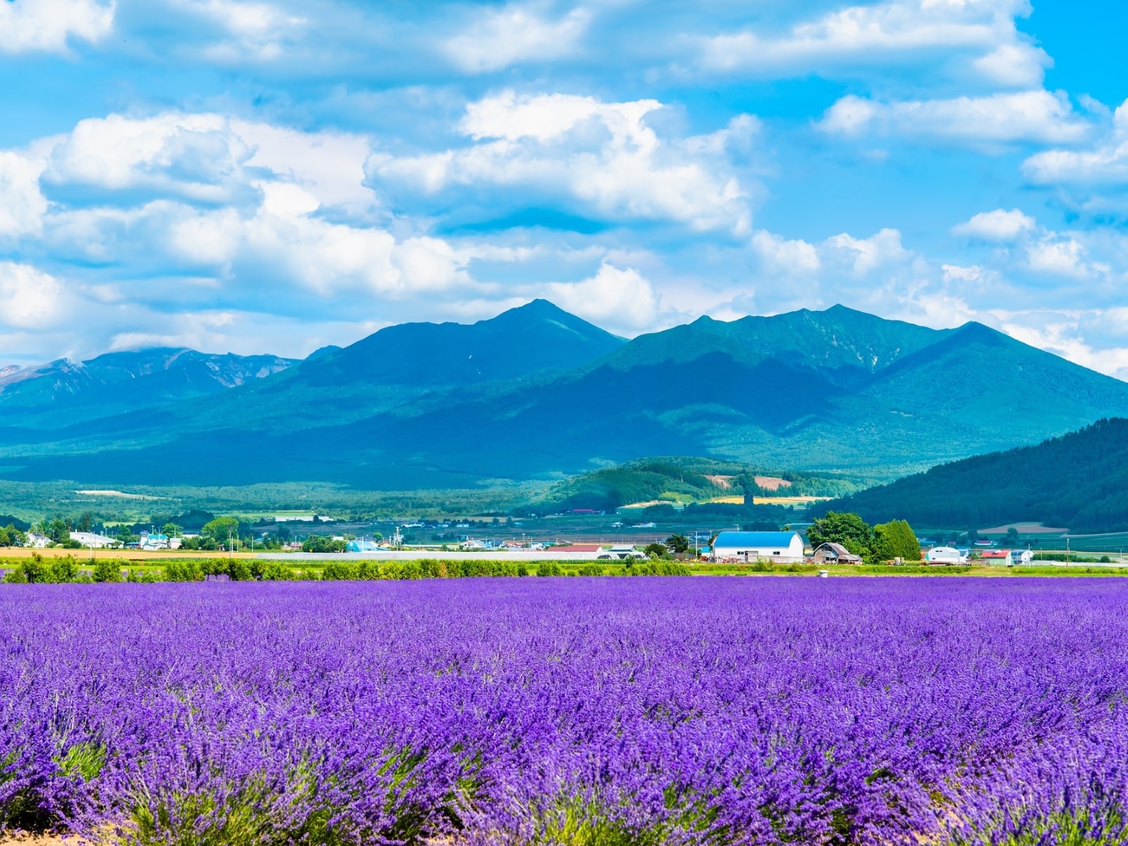 来世はここに生まれたい！ と思う都道府県ランキング