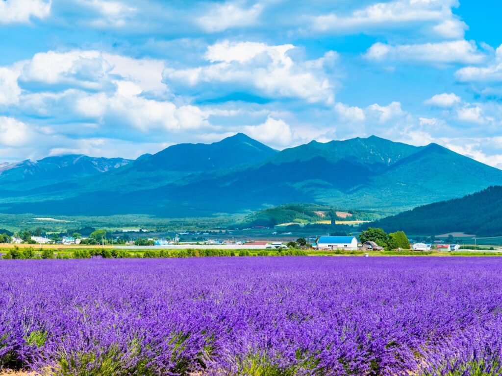 「来世はここに生まれたい」と思う都道府県ランキング！ 2位「北海道」を大差で抑えた1位は？ - All About ニュース