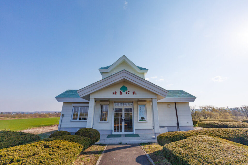 SODANE – 北海道の十勝の景色を満喫!『はるにれ写真ギャラリー』で豊頃町”ハルニレの木”の春夏秋冬を切り取った美しい写真が展示中 7D0A5256.jpeg