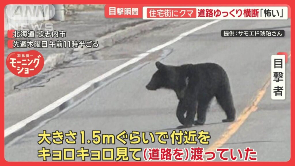 「眼球を取って縫合…」住宅ガラス突き破りクマ侵入、男女3人襲われる 長野・飯山市 - テレ朝news