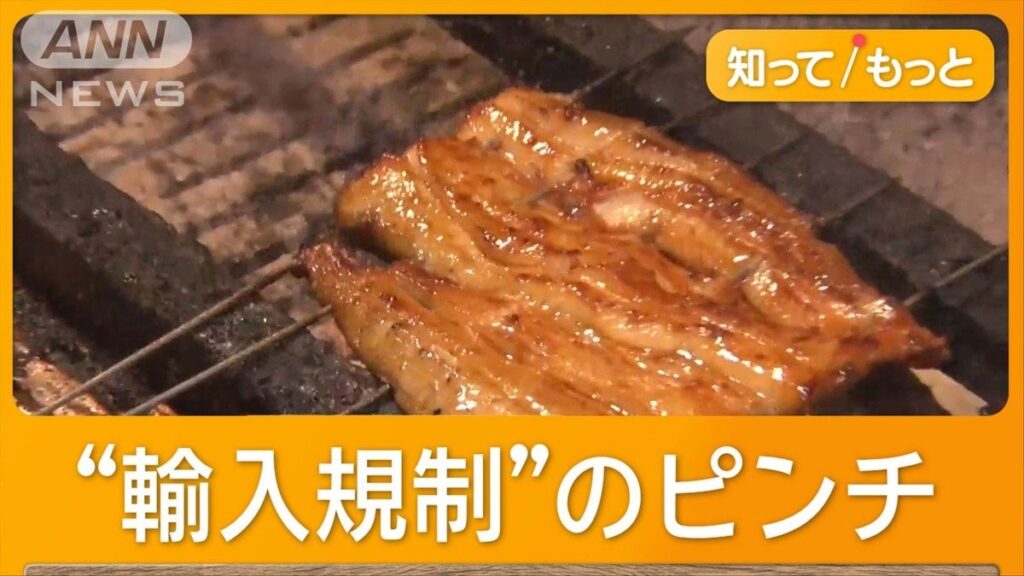 加工品を含むすべてのウナギ EUがワシントン条約で輸入規制案を提案準備 – テレ朝news 加工品を含むすべてのウナギ EUがワシントン条約で輸入規制案を提案準備 - テレ朝news