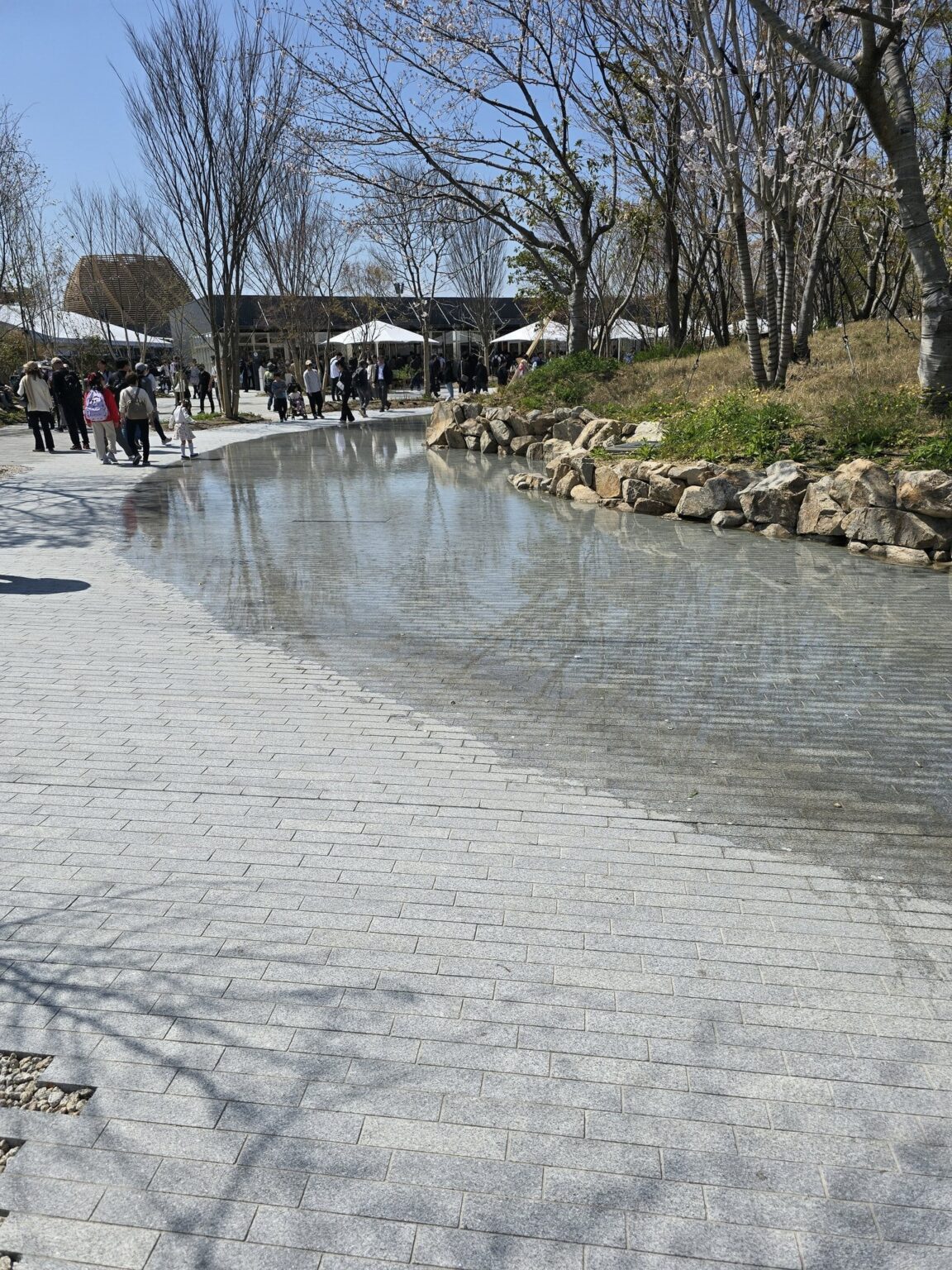 万博、排水の設計ミス？により道が水で埋まる 維新議員「そういう仕掛け。悪しからず」←何でいち議員が設計の事知ってんの？