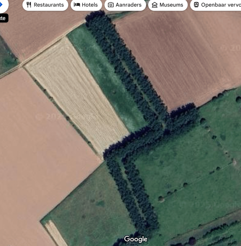 @Boeren：以下の風景はどのような機能ですか？木の列に囲まれた薄い縞模様の「草」？このプロットはどのように使用されていますか？