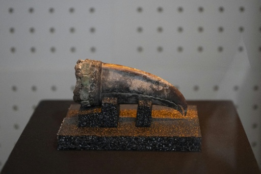 Remains of 5,000-year-old noblewoman found in Peru dig