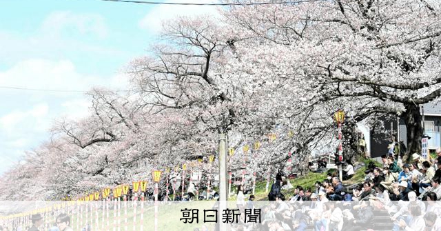 宮城屈指の「一目千本桜」が見頃 JR東北線は低速運転、景色が人気 [宮城県] - 朝日新聞